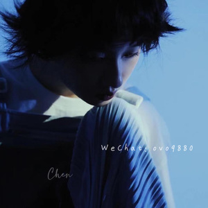 欧美丰满肥臀大波ass
